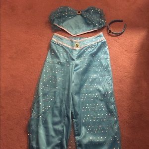 Jasmine Halloween costume- will ship today!