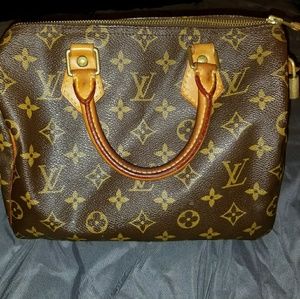 Louis Vuitton Speedy Bag