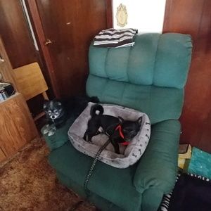 Meet your Posher, Kathy