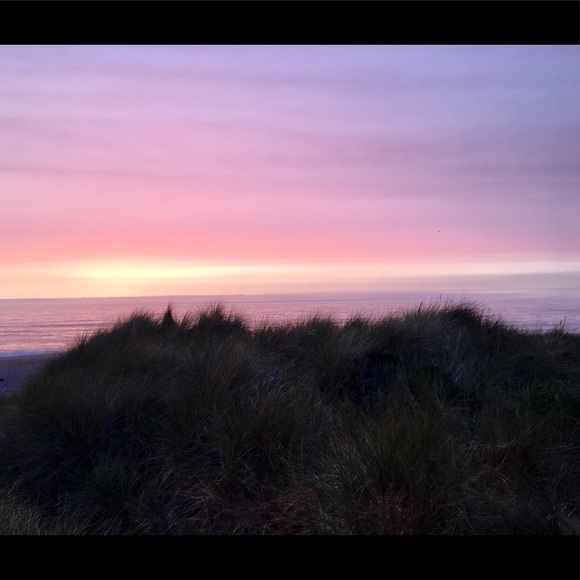 Meet your Posher, Jane - Picture 2 of 2