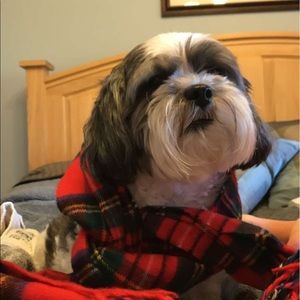 Meet your Posher, Kim