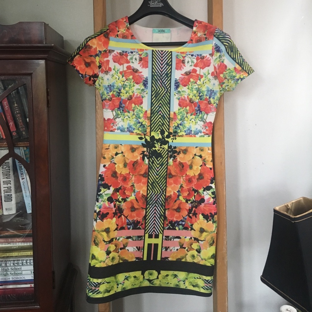 Karlie dress, Ted Baker look alike