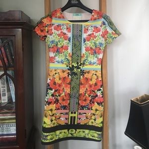 Karlie dress, Ted Baker look alike