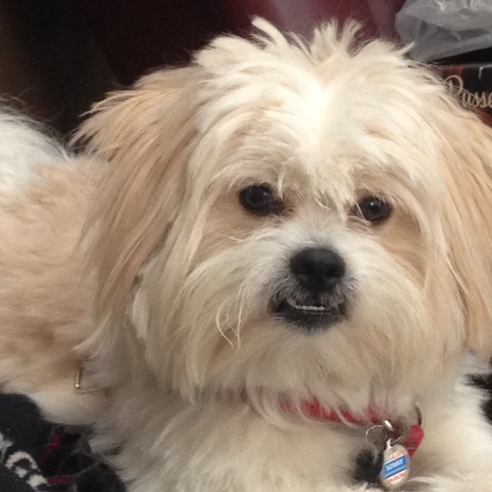 Meet your Posher, Bianca