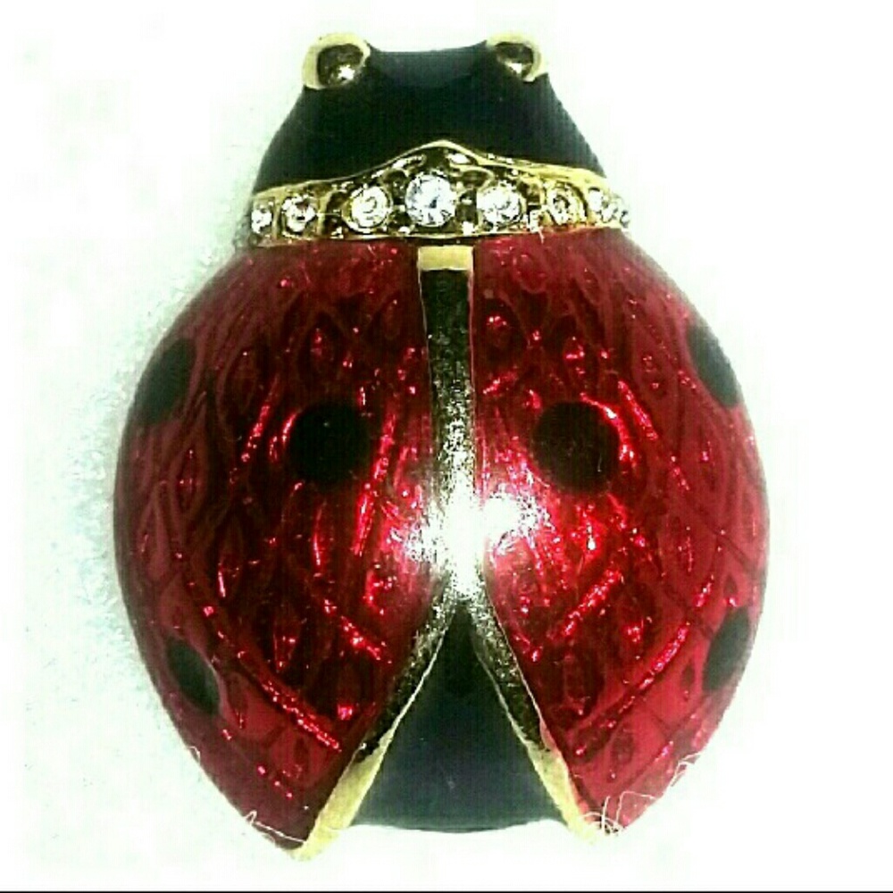 ⭐2 for $5⭐ Lady Bug Brooch