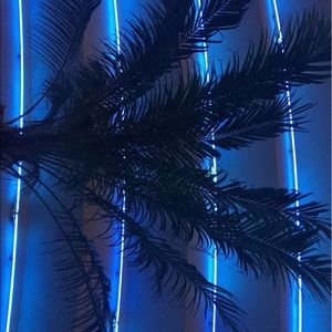 Meet your Posher, Itzel