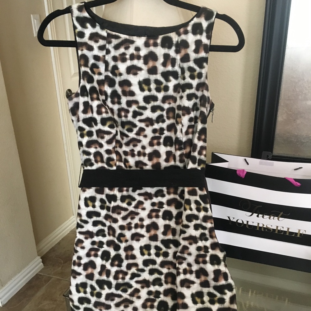 Ann Taylor Lined Dress