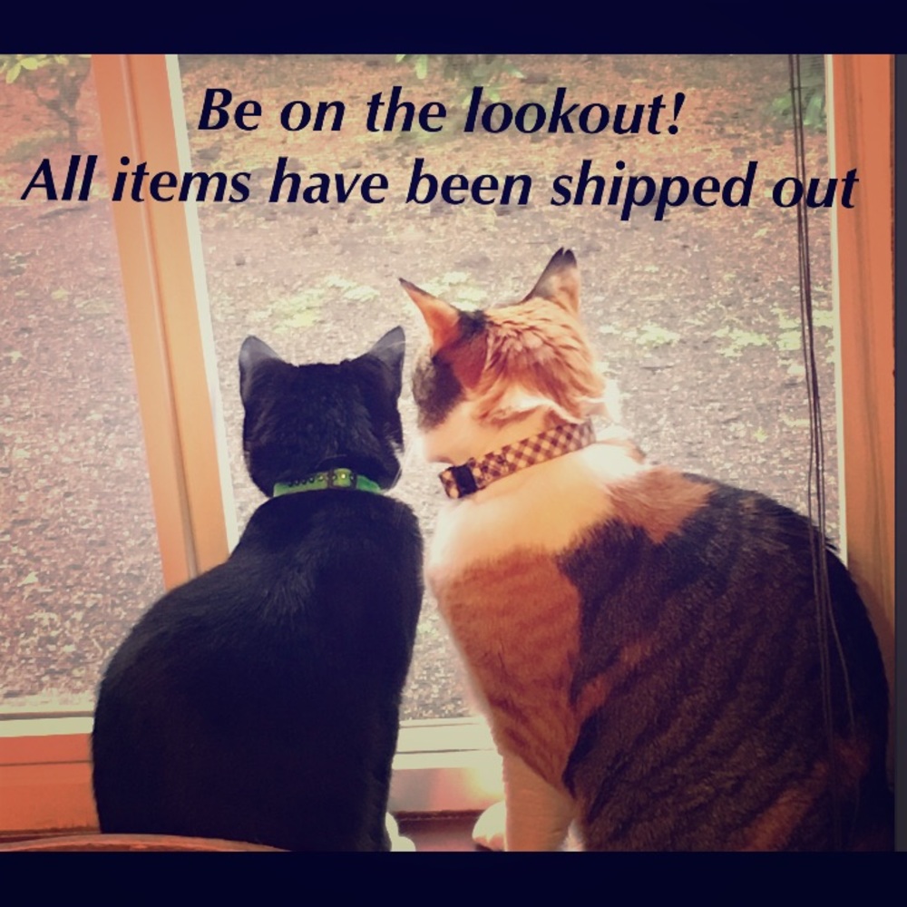 All sales have shipped out 😊