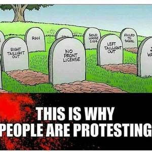 Meet your Posher, Felicia