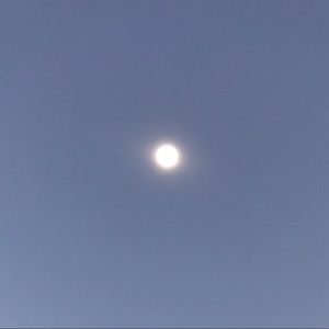 Meet your Poshers, Morgan & Lauren