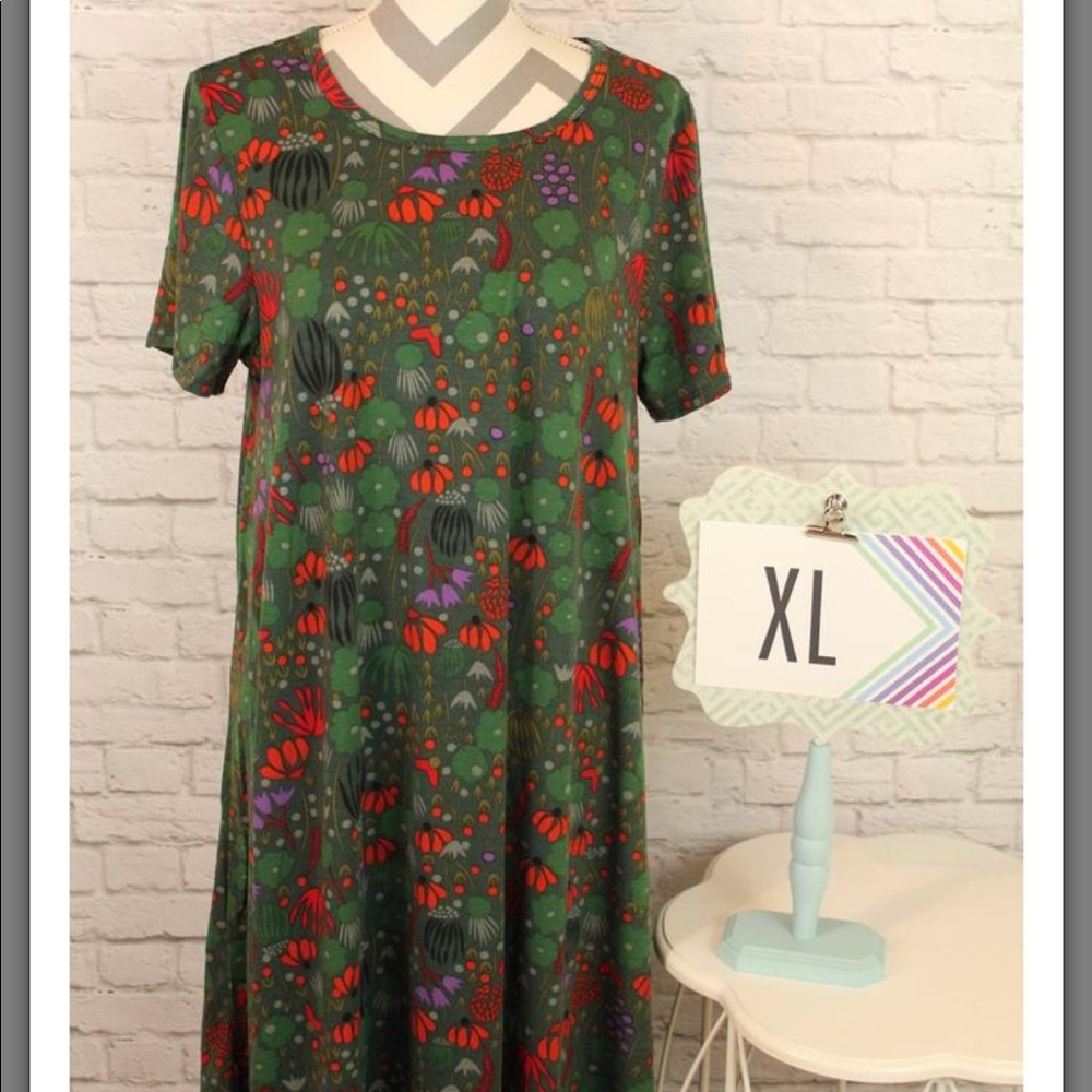 LuLaRoe Carly Dress