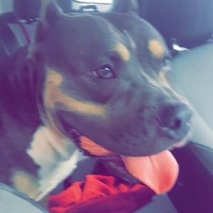 Meet your Posher, Trevor