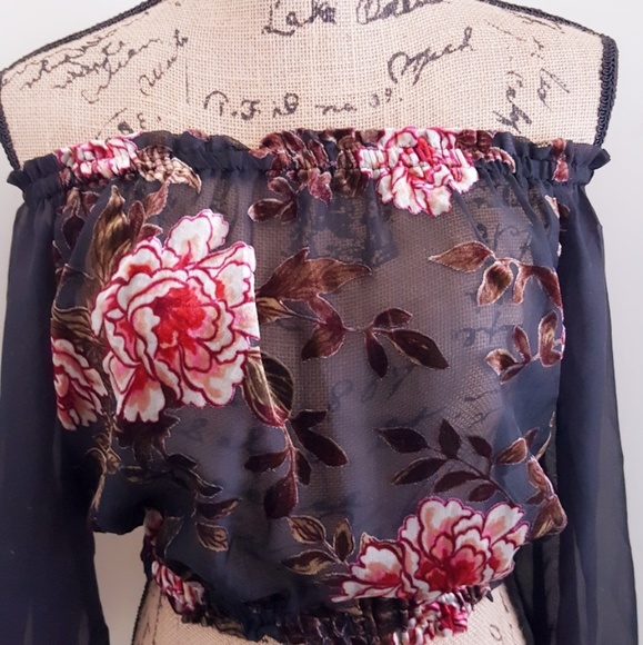 Tops - NWT Off The Shoulders Sheer Top