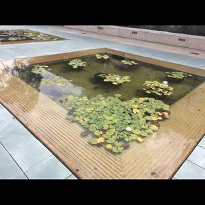 Meet your Posher, Billy