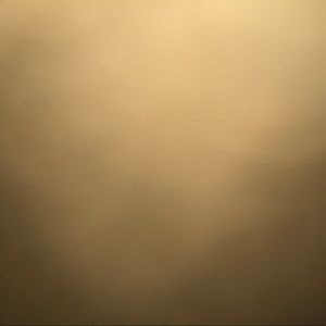 Meet your Posher, Rae