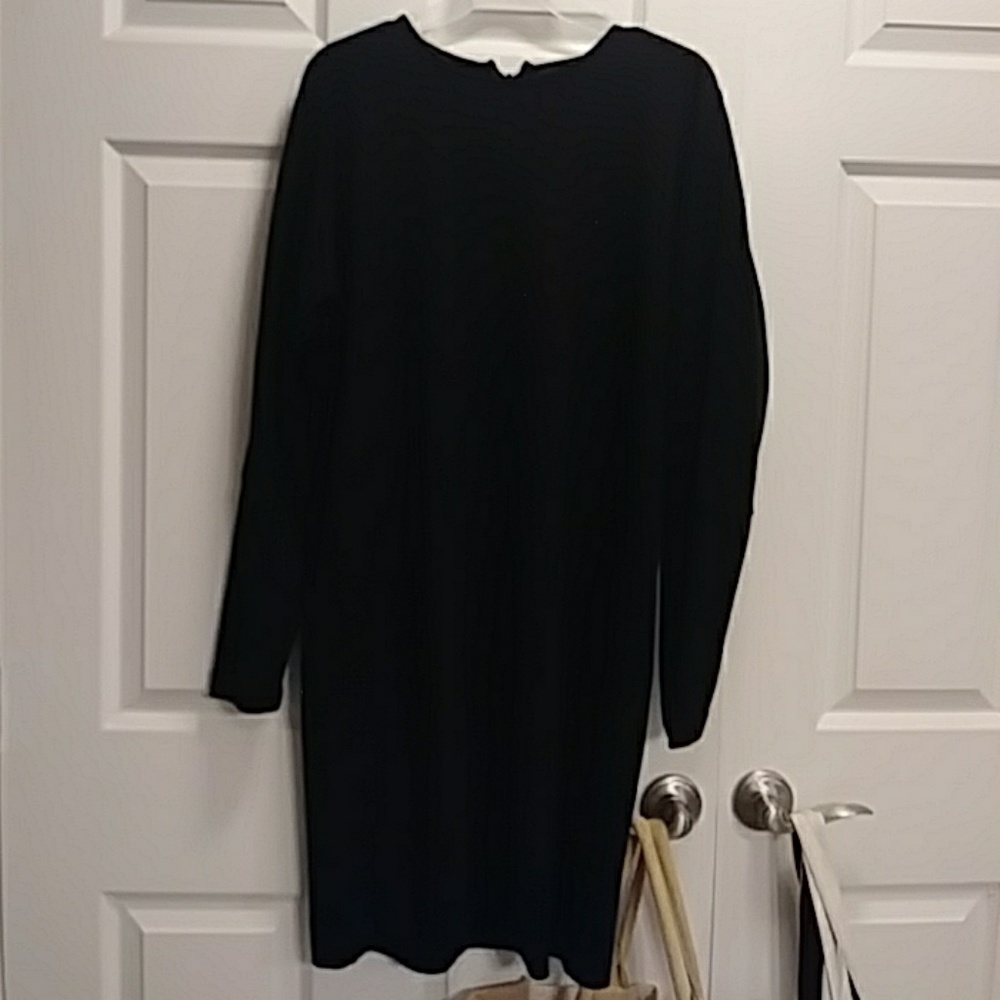 Liz Claiborne Winter mini dress