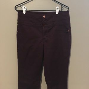 Burgundy High Waisted Skinny Jeans