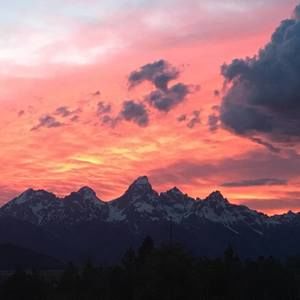 Meet your Posher, Jackson