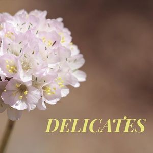 Delicates