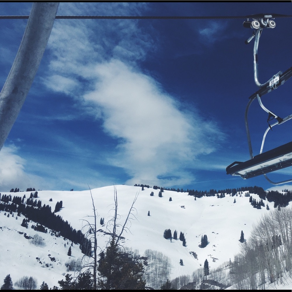 Meet your Posher, Jamison