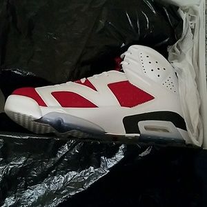 Jordan retro 6 Carmine's