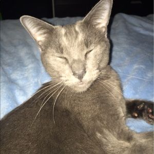 Meet your Posher, Heidi