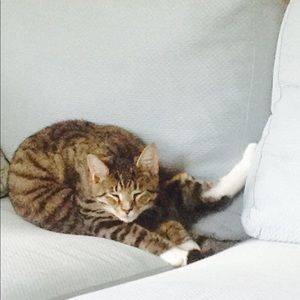 Meet your Posher, Angela