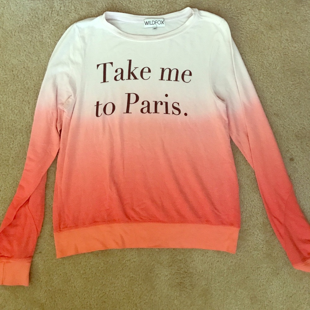 Wildfox sweatshirt