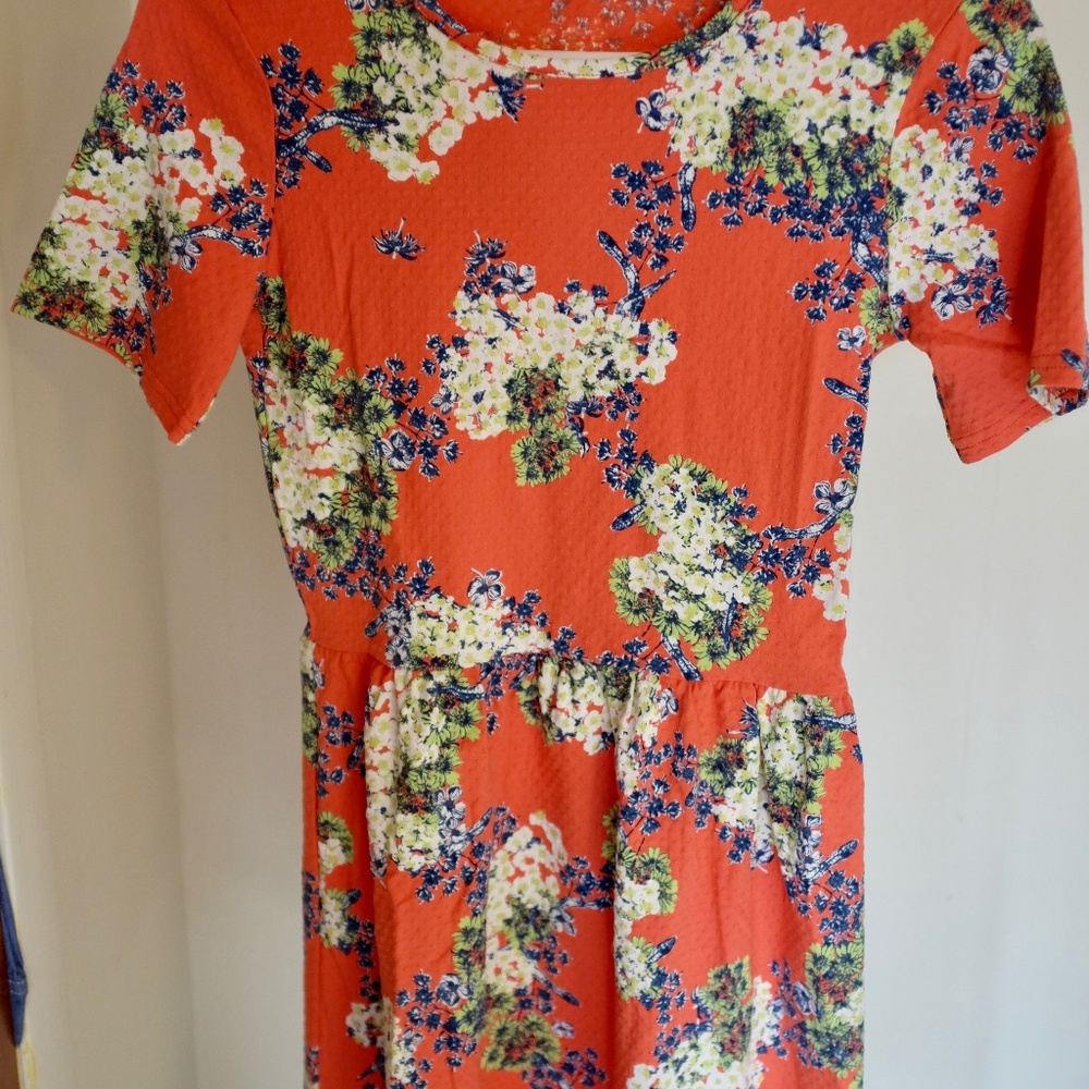 Orange Floral Textured Dress NEVER WORN - Picture 2 of 3