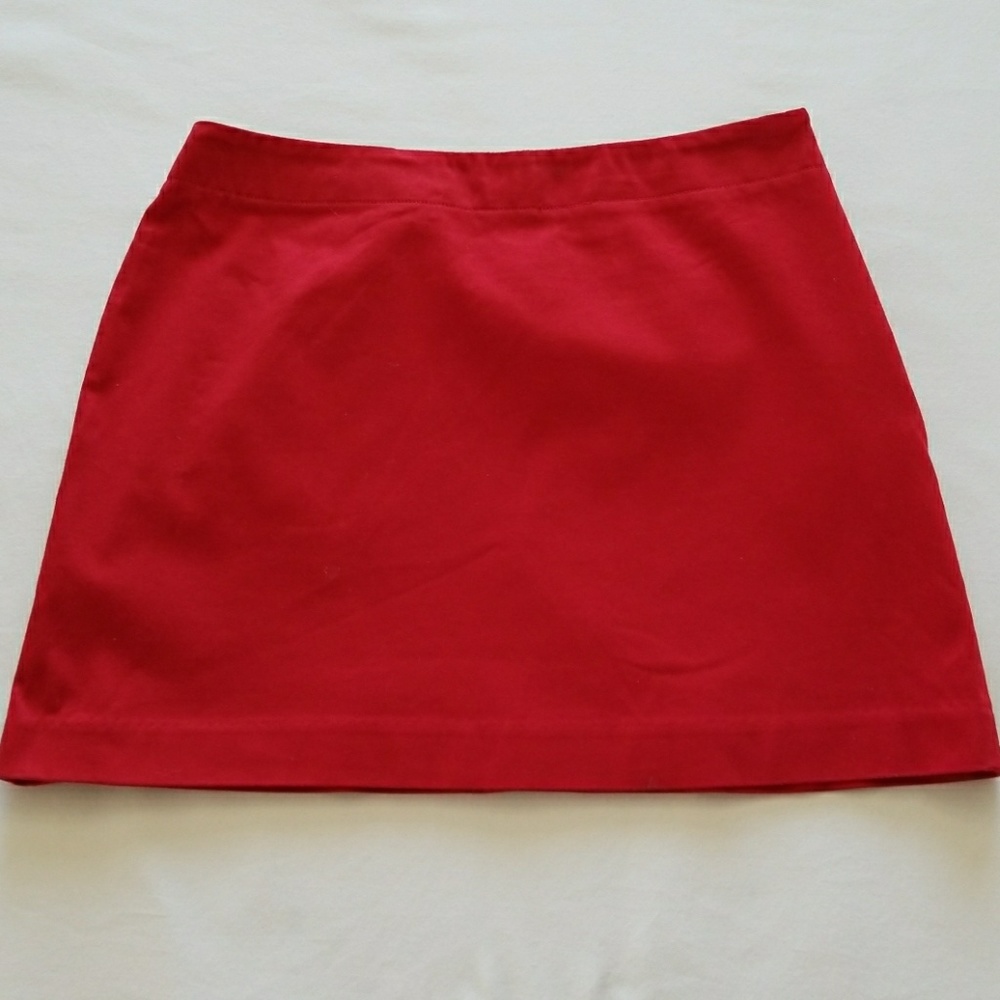 Adorable Red Express Mini Skirt