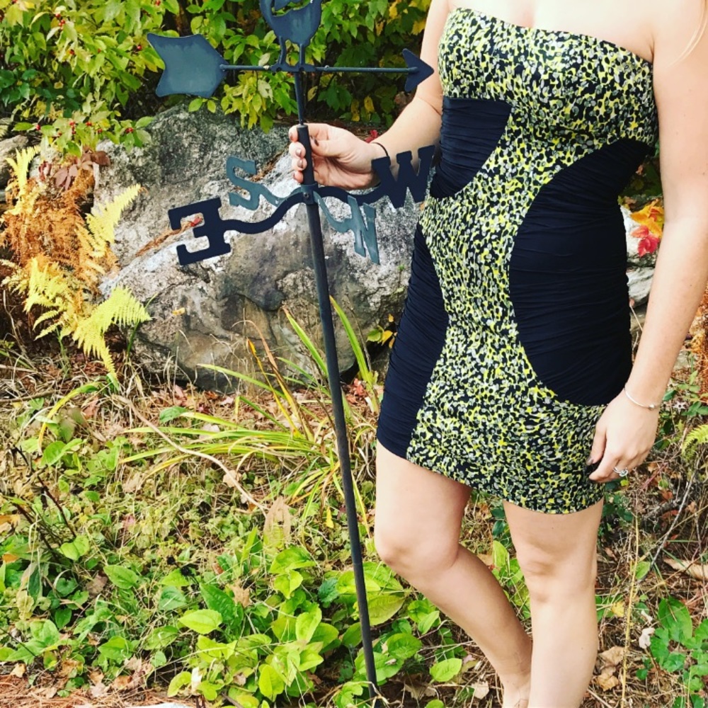Cynthia Steffe dress