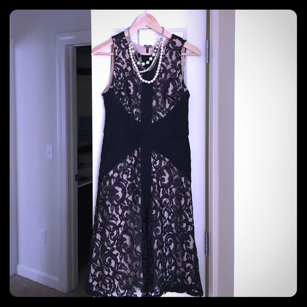 The Limited navy lace dress
