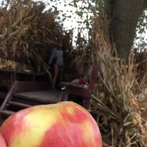 Meet your Posher, Selena