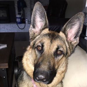 Meet your Posher, Michaela