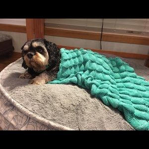 Meet your Posher, Avery