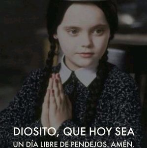 Meet your Posher, Erika