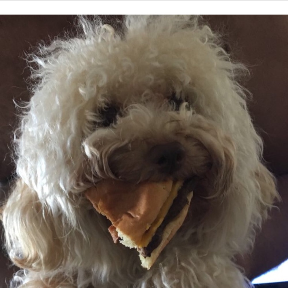 Meet your Posher, Caroline