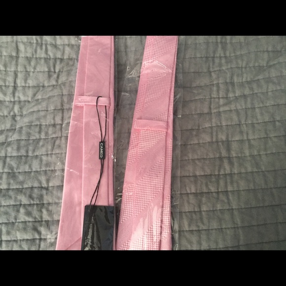 NWT Lot of 2 Silk Pink Ties - Picture 2 of 2