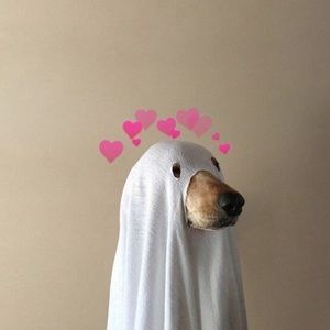 Meet your Posher, Eden