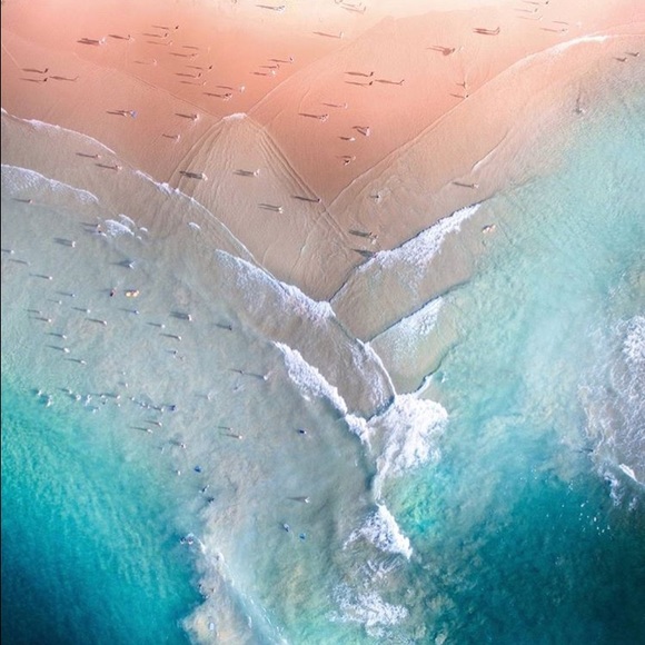 Meet your Posher, Henry - Picture 1 of 1