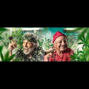 Meet your Posher, Perla