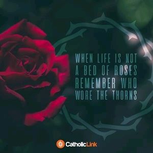 Meet your Posher, Lis