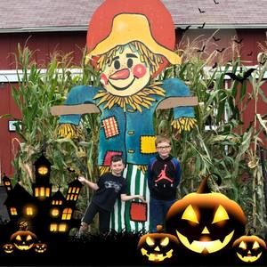 Meet your Posher, Jodi