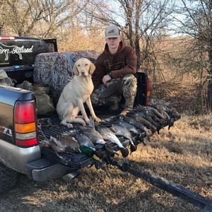 Meet your Posher, Bryce