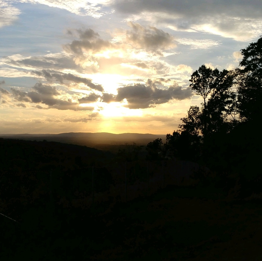 Meet your Posher, Doreen