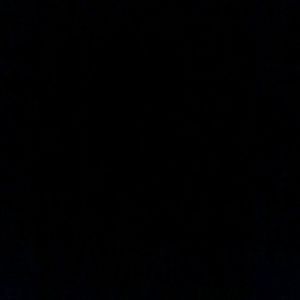 Meet your Posher, Wayne