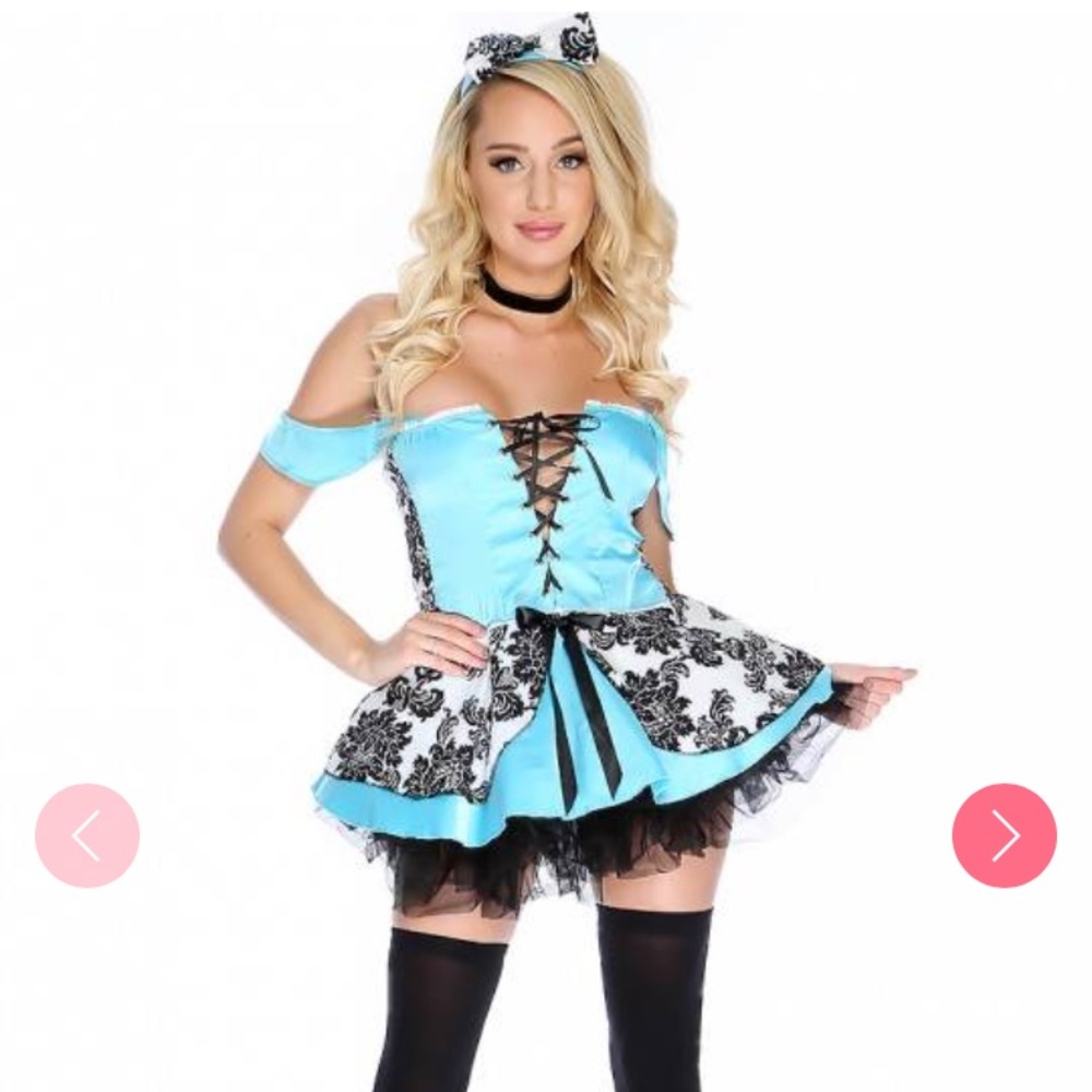 Alice in Wonderland Costume