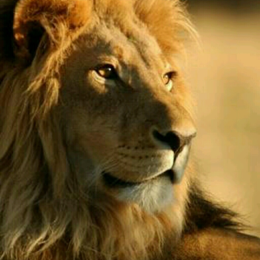 Meet your Posher, Doris