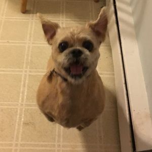 Meet your Posher, Delaney