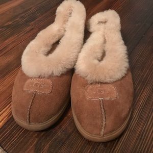 Ugg Australia Shoe